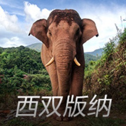 麦迪逊重伤欧联杯官方却发布其笑脸照，热刺球迷社媒怒喷欧足联